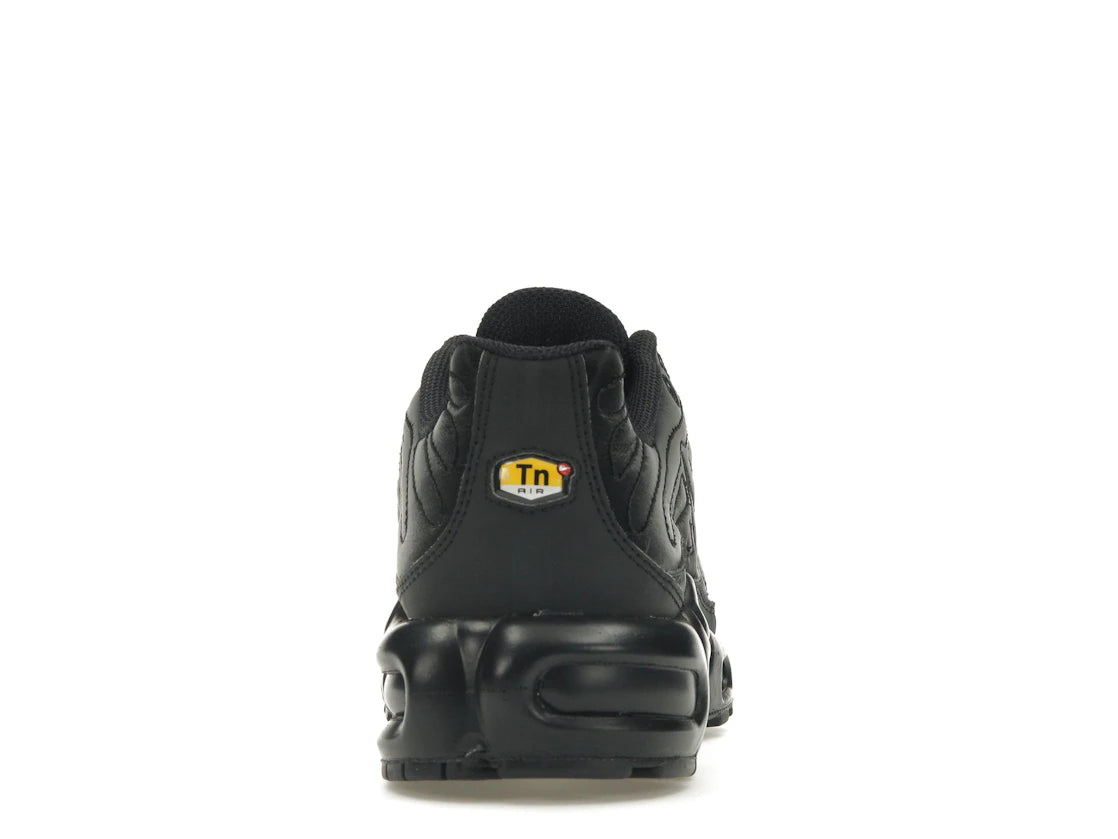 Nike Air Max Plus Black Anthracite Sail (Women's)
