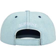 Supreme Embroidered Money Logo 6-Panel Hat Light Blue
